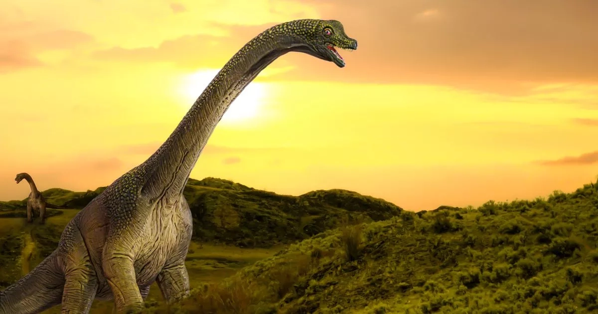 Dinosaurs may hold key to cancer breakthroughs say scientists