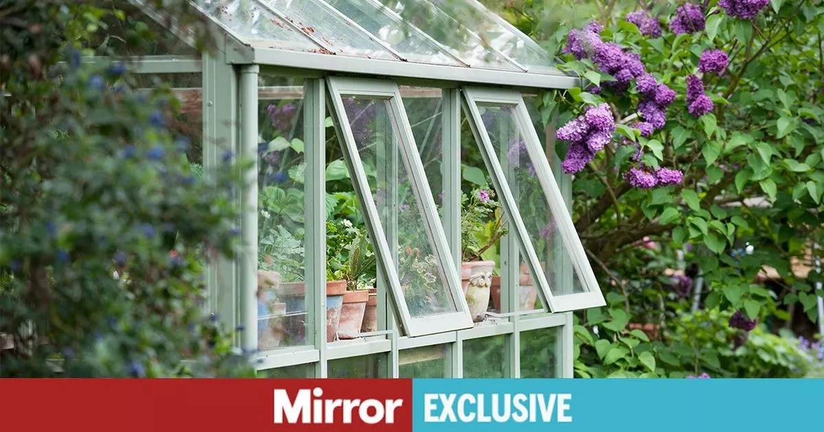 Gardeners urged to act over 'top priority' as mini heatwave hits