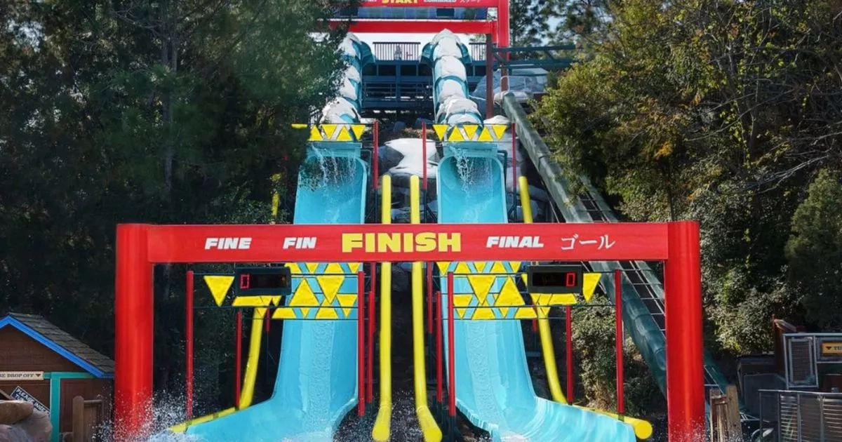 Man 'too heavy to ride waterslides' sues Disney over 'catastrophic injuries'