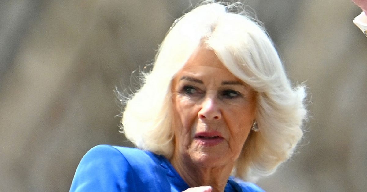 Queen Camilla has leading role in her favourite author's latest murder mystery