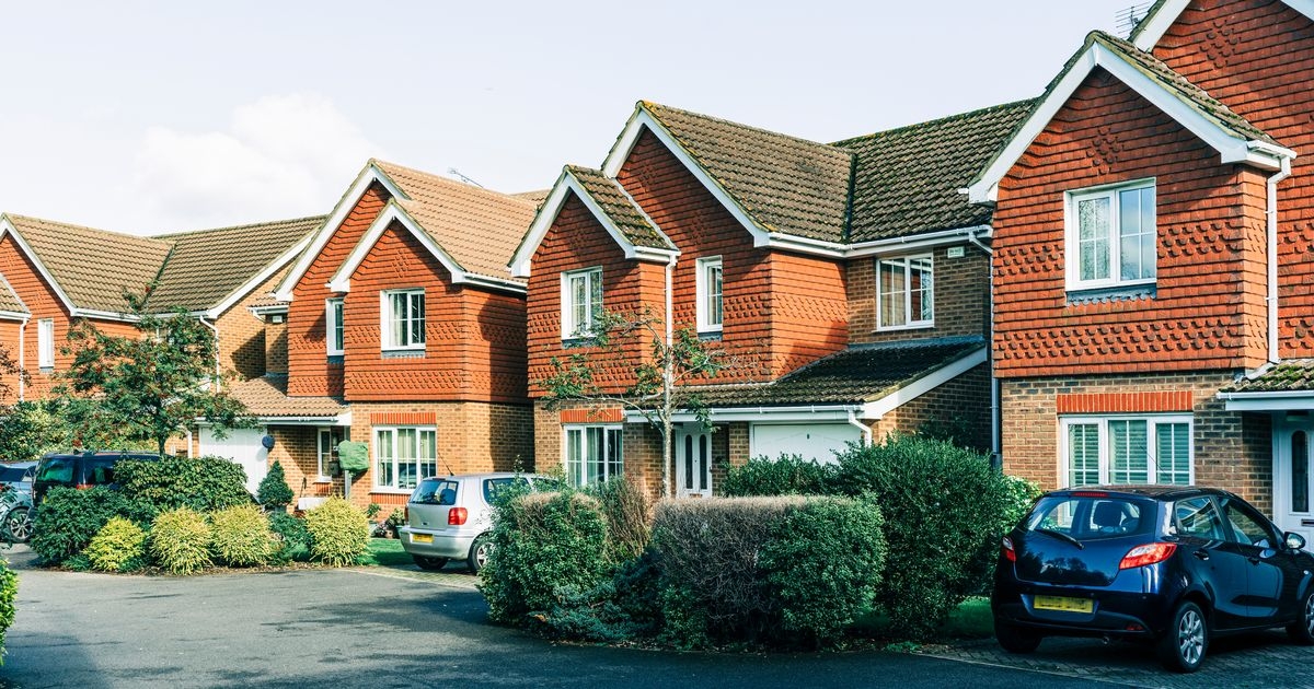 'I started turning driveway into a garden then neighbour came round'