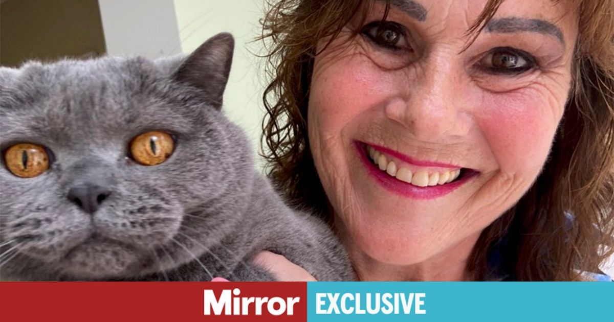 'My cat had a psychic reading and his demanding requests were eye-opening'