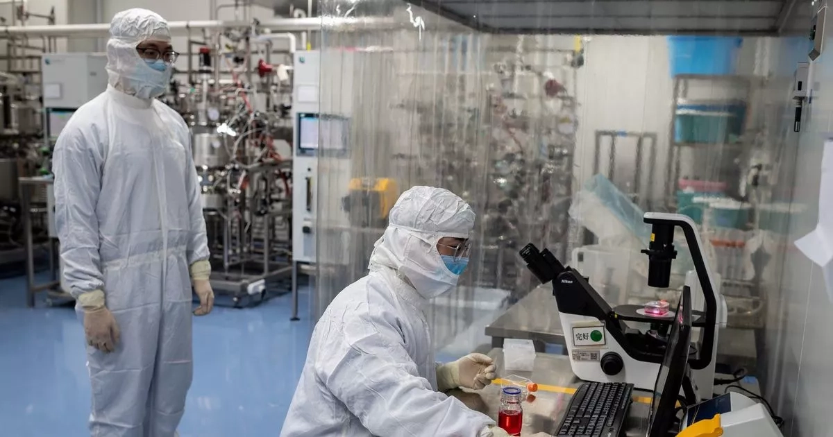 Fears newly-discovered coronavirus is 'one step away' from infecting humans