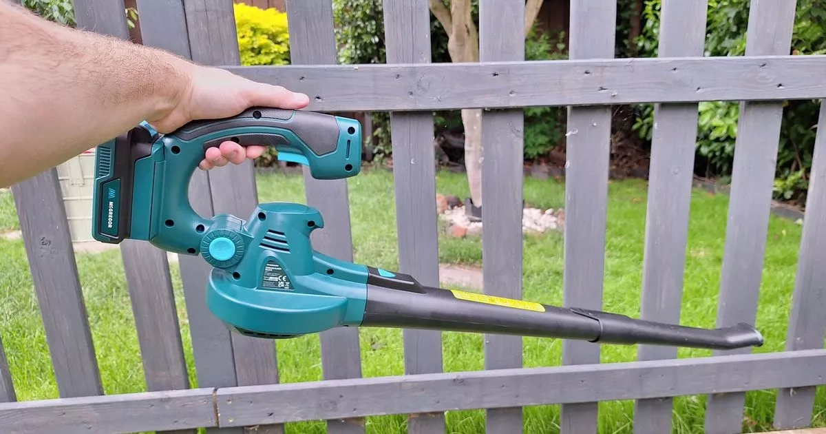 'I bought a cordless leaf blower, it's great at tidying the garden'