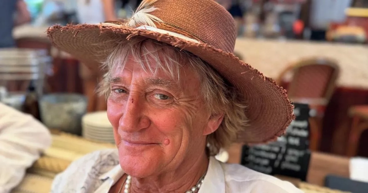 Rod Stewart enjoys day out with kids after cancelling shows due to health battle