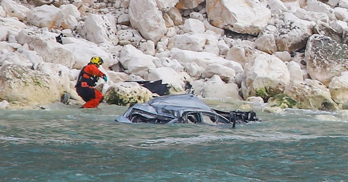 Disturbing demise of dog owner who died with dachshunds as car plunges off cliff