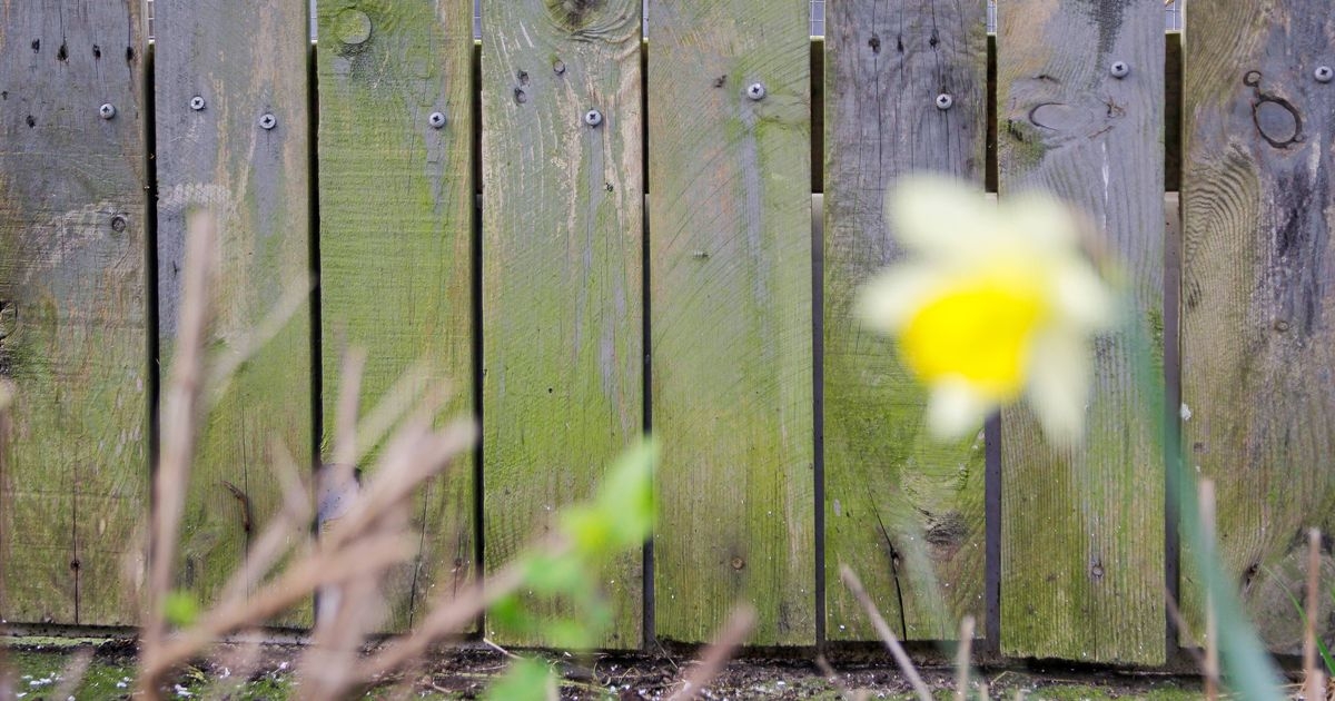 New UK garden fence law 'simplifies' rules but households could face £20k fine