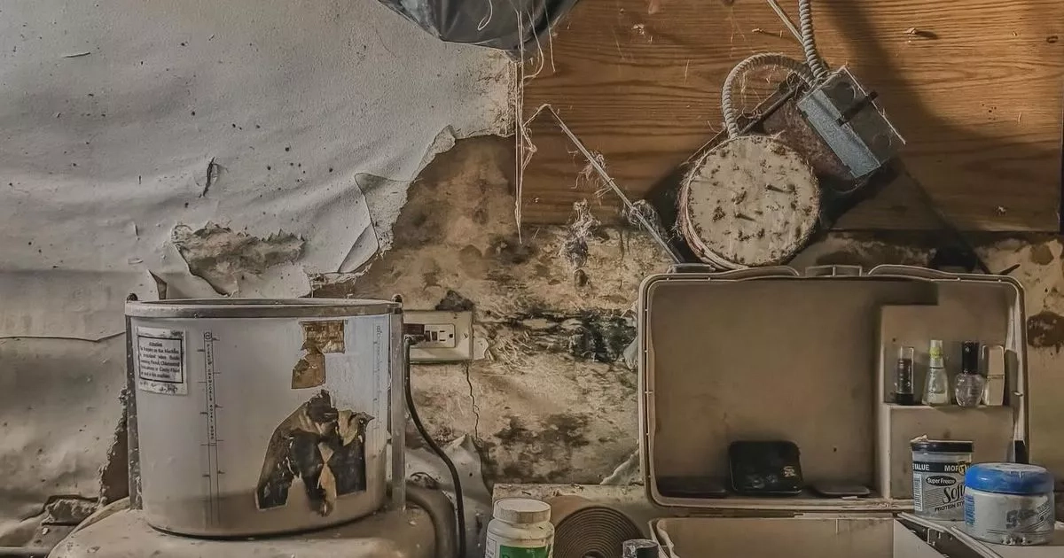 Inside collapsing funeral home with 'human remains and Polaroids of corpses'