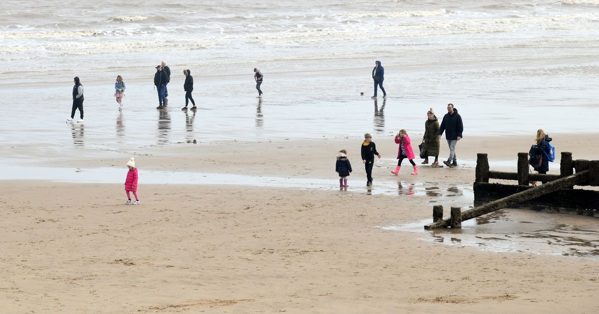 Seaside warning as venomous creatures with painful sting back on UK beaches