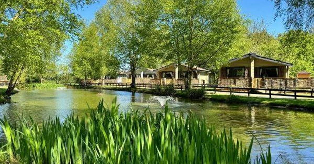 'I stayed in a UK Center Parcs dupe and the location was simply unreal'