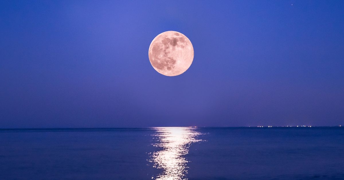 Full Strawberry Moon this week will be lowest in UK skies since 2006