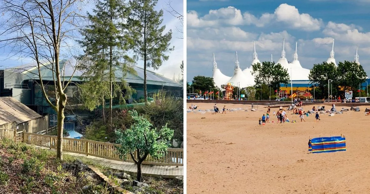 'I compared Center Parcs to Butlins and there's really only one obvious verdict'
