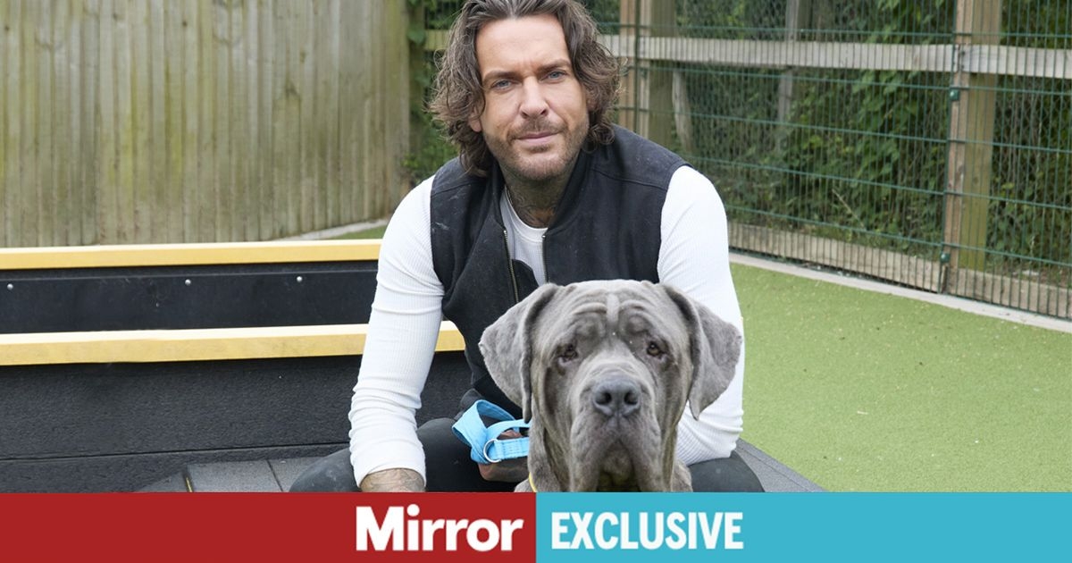 Pete Wicks' desperate plea to give 'beloved' dog a home before he dies