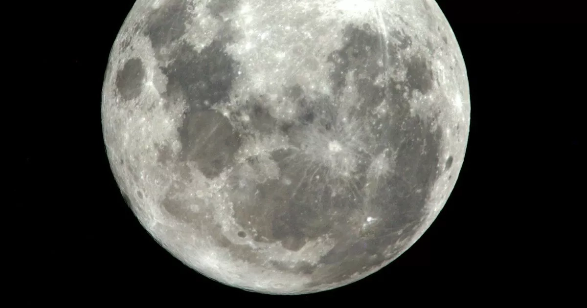 NASA astronomers say it's now 'more likely' asteroid YR4 could hit the Moon