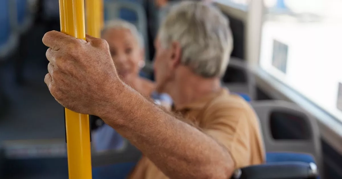 'Free' bus and train scheme needs to be axed urgently says expert
