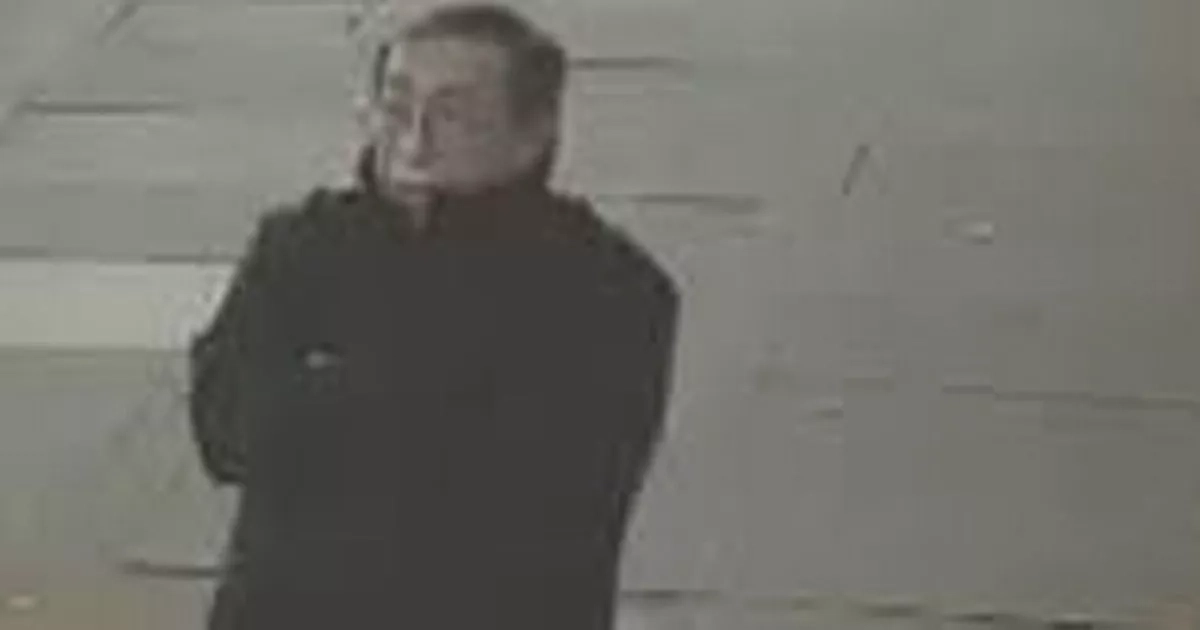 Horror moment teen girls surround man, 75, beating him to death as they film