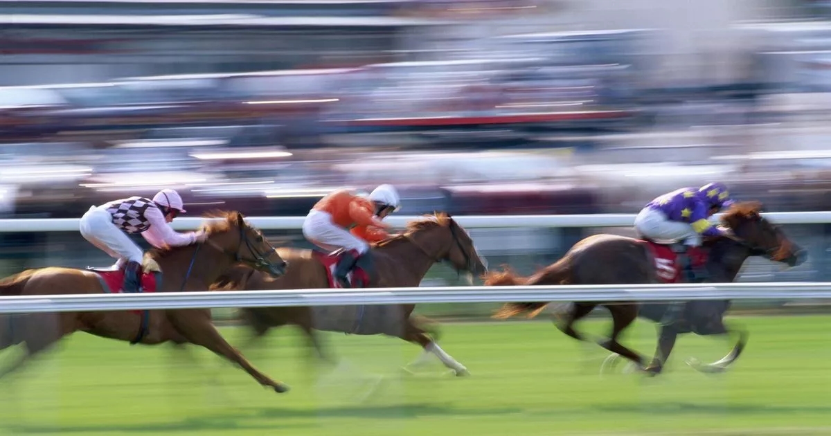 Racehorse or Drag Queen? Test your knowledge with this unique quiz