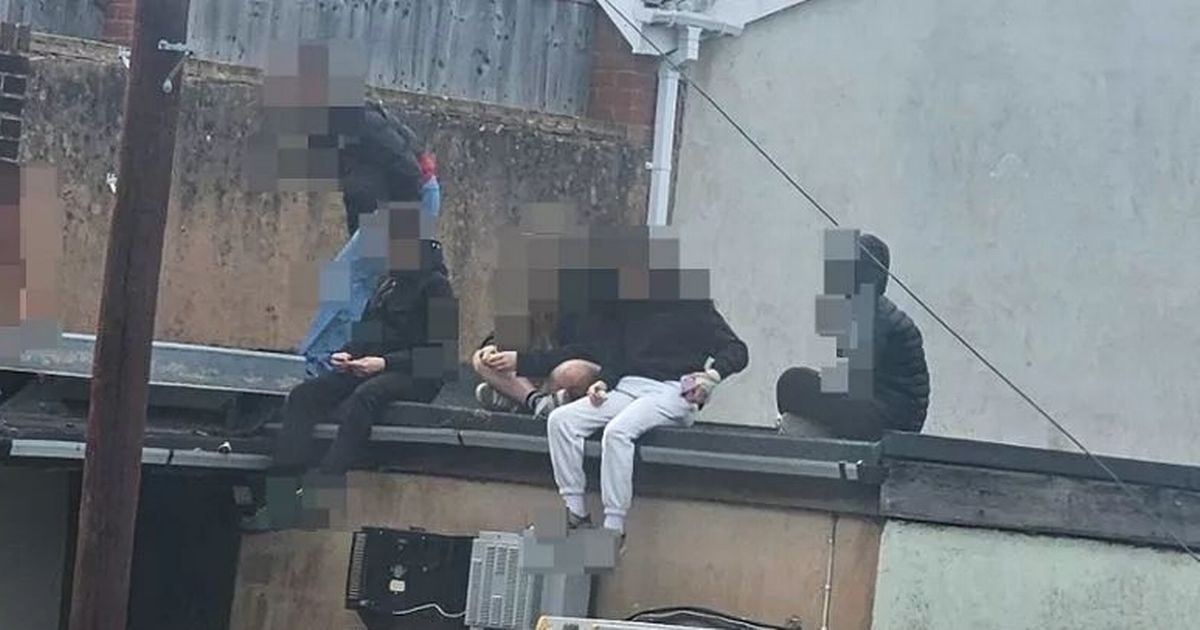 Locals terrorised by 'feral' roof-hopping teen girl gang on Prosecco rampages