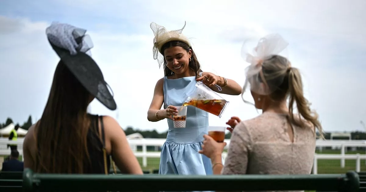 Royal Ascot drinks prices as punter's Peroni and Champagne costs revealed