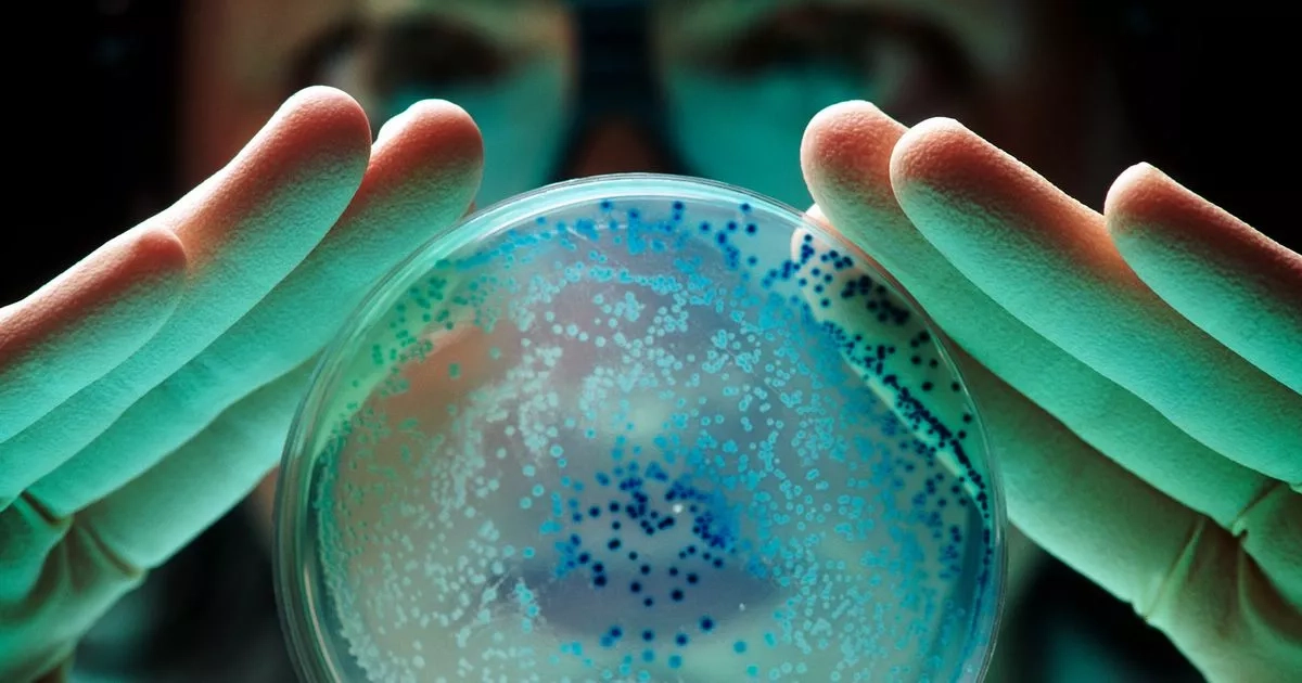 Warning over 'life-threatening' bacteria living on an object in your pocket