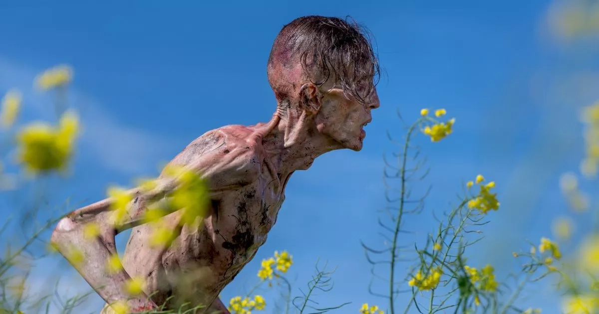 Where to stream 28 Days Later and 28 Weeks Later before sequel hits cinemas