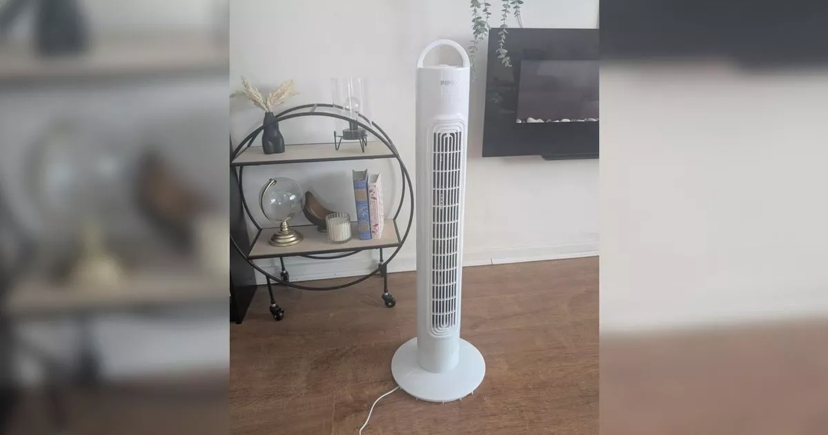 I tried a £19.99 Home Bargains fan - now I can't live without it