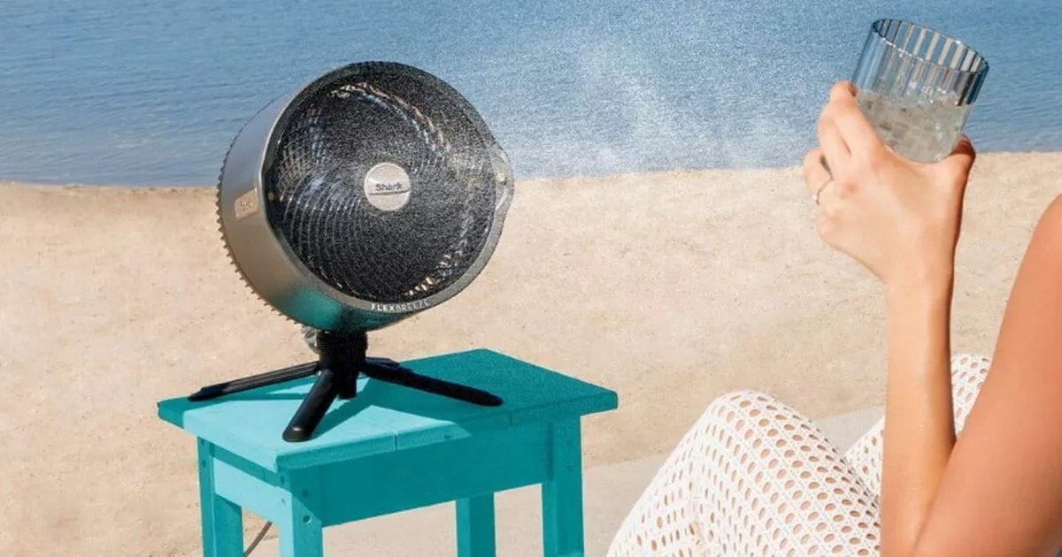 'Powerful' Shark fan falls to record low price amid heatwave