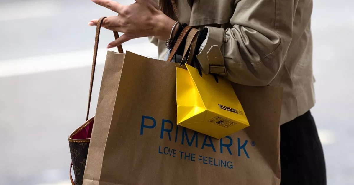 Primark's 'perfect' £50 leather bag looks 'so similar' to £275 brand