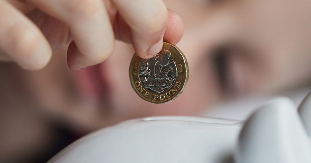 'Ordinary' £1 coin could have mistake making it worth £500