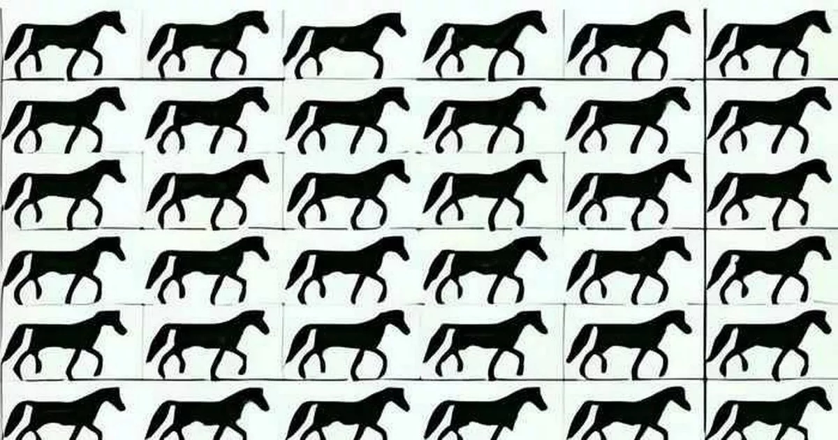 You need razor sharp vision to spot horse without tail in 'impossible' puzzle