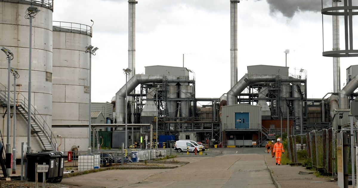 Firm part owned by mega rich UK family wants taxpayer cash to save factory