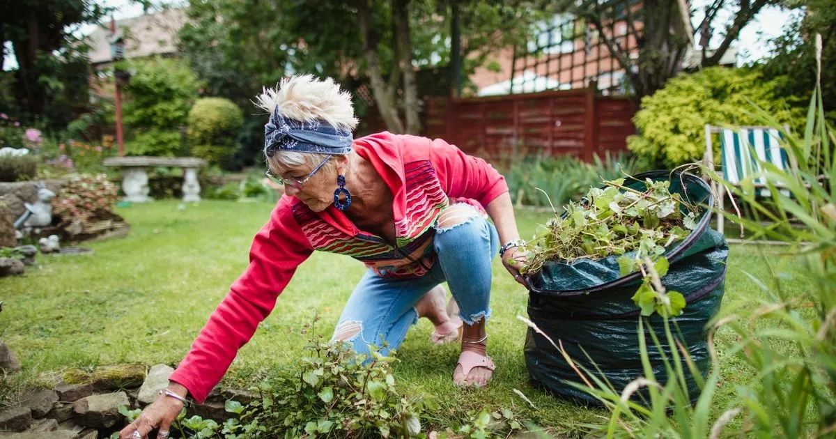 Brits urged to act immediately if they find one common sticky weed in flower bed