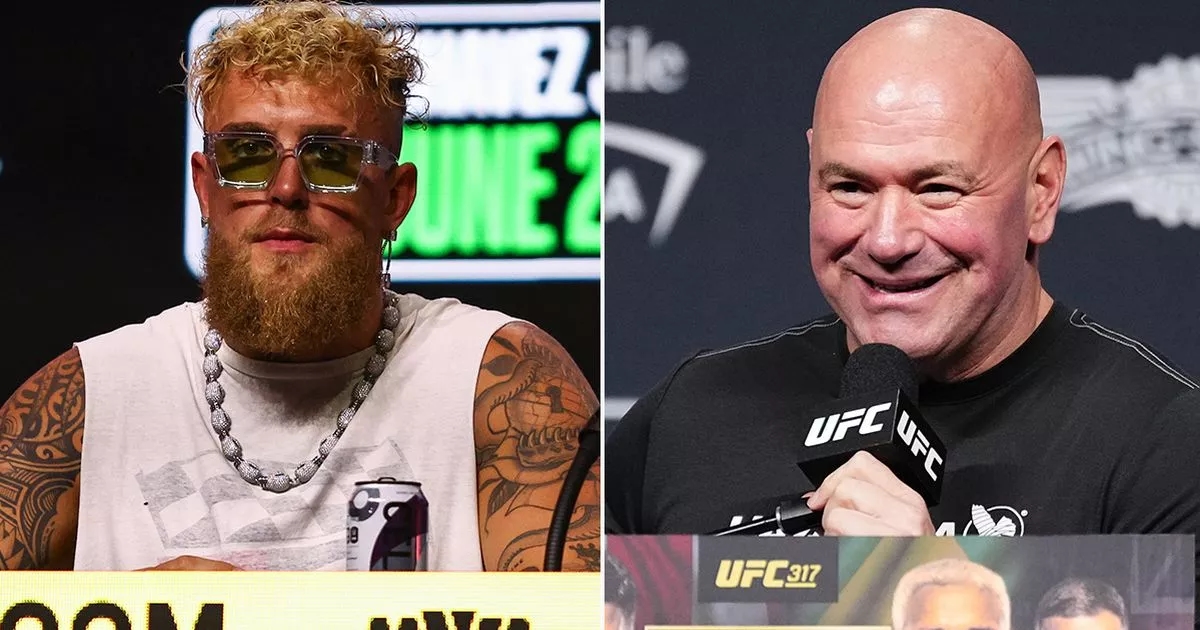 Jake Paul banned from UFC events after dispute with Dana White