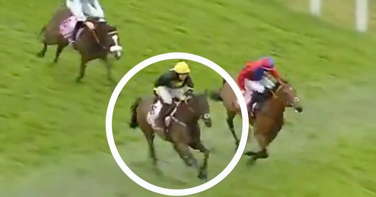 Amateur jockey banned after horse is gifted race by blunder with seconds to go