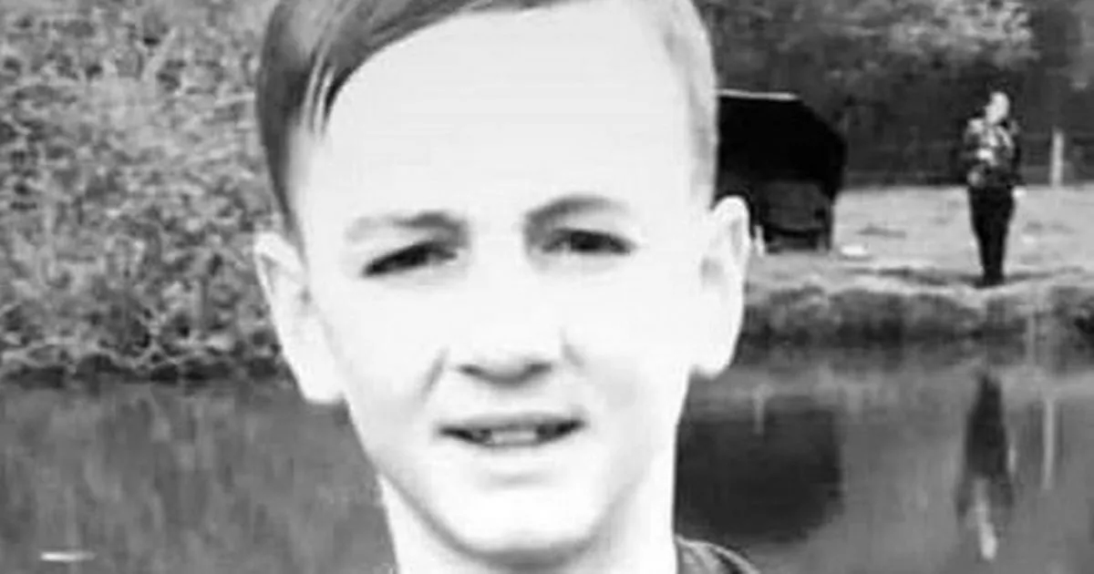 Boy, 16, 'died in stolen motorbike crash while burglary victim was chasing him'
