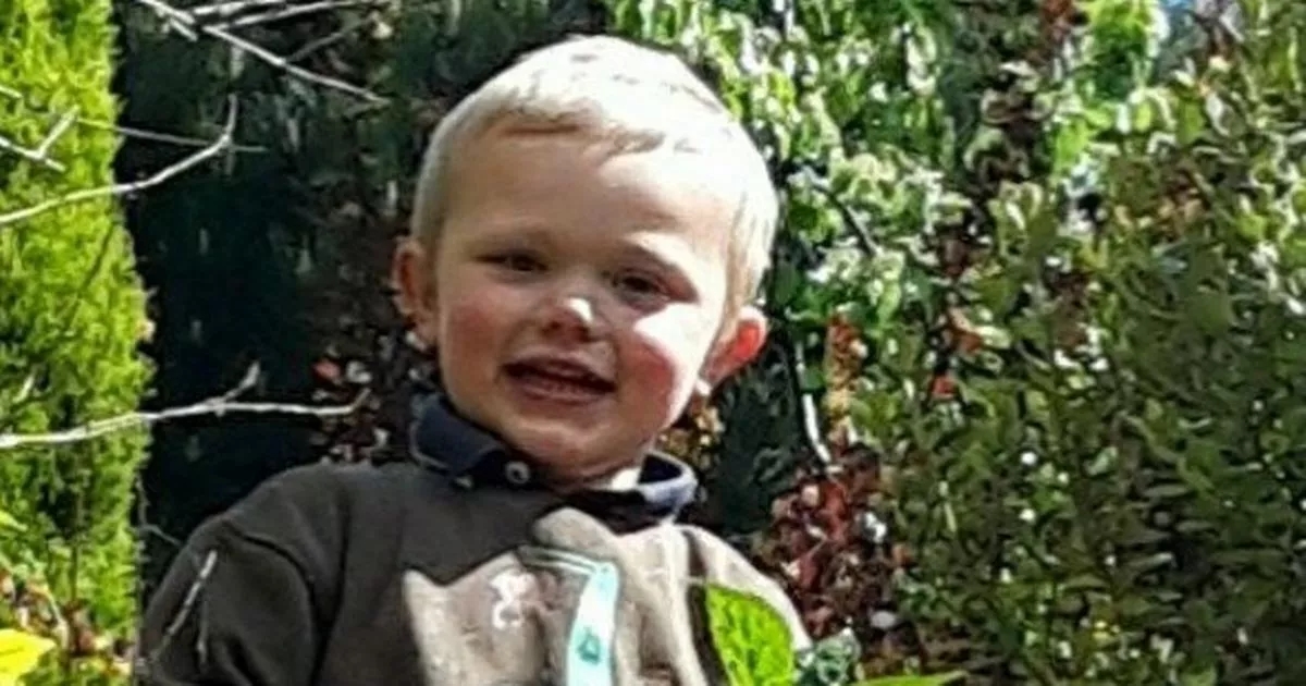 Mum told 999 son, 3, had been 'ripped to pieces' after dog attack at farm