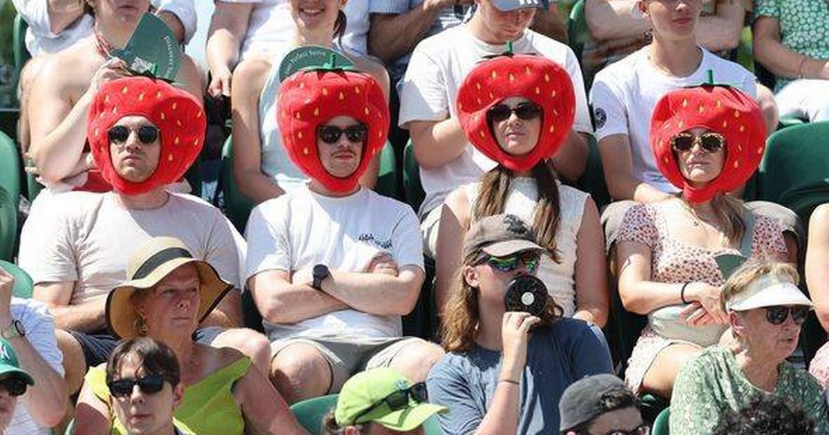 Wimbledon fans fume over 'greed' as they count cost of pint of Stella and sushi