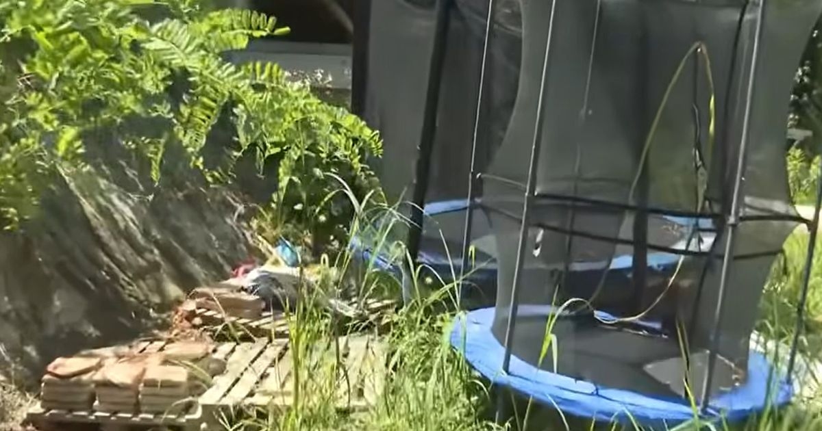 Siblings, 9 and 6, named 'Ghost Children' after being left on farm in nappies