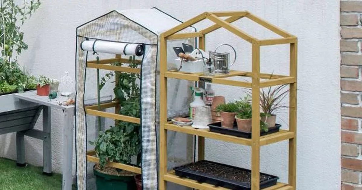 'Beautiful' mini greenhouse worth £100 plummets in double deal