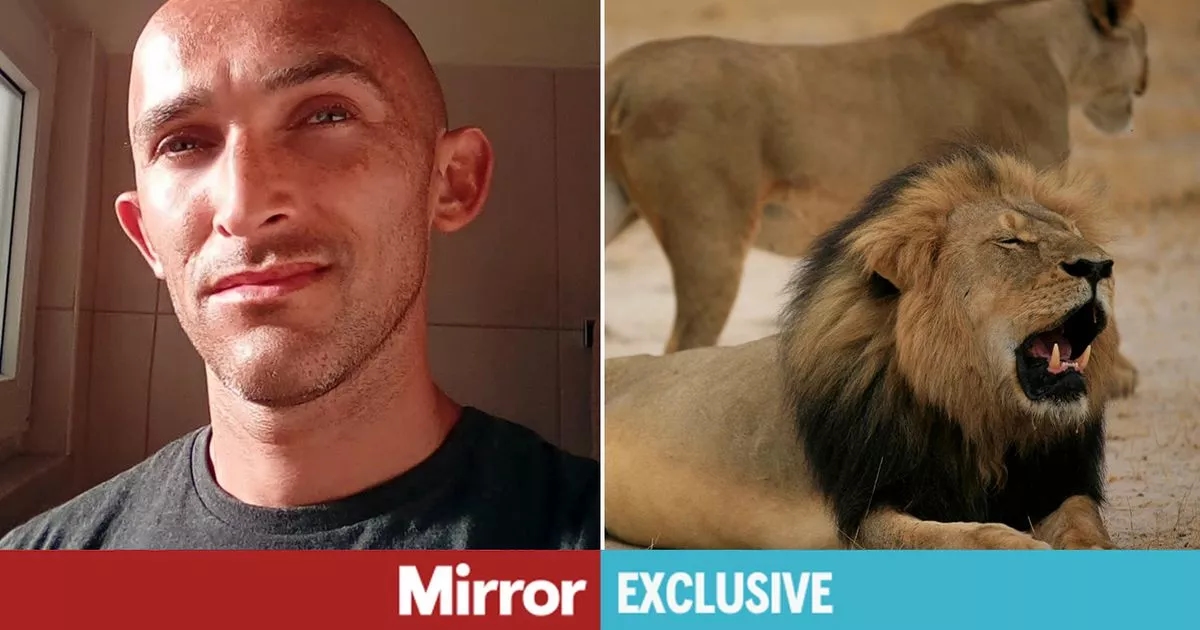 'We exposed the brutal killing of Cecil the lion - we had to flee our homes'