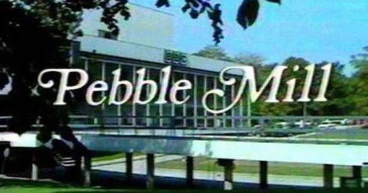 Pebble Mill at One stars now - from criminal convictions to tragic death