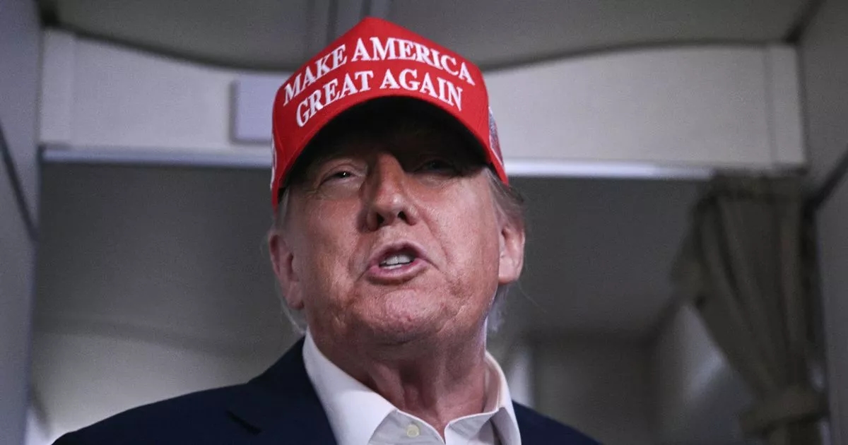 Donald Trump 'moaned about White House computers blocking adult films'