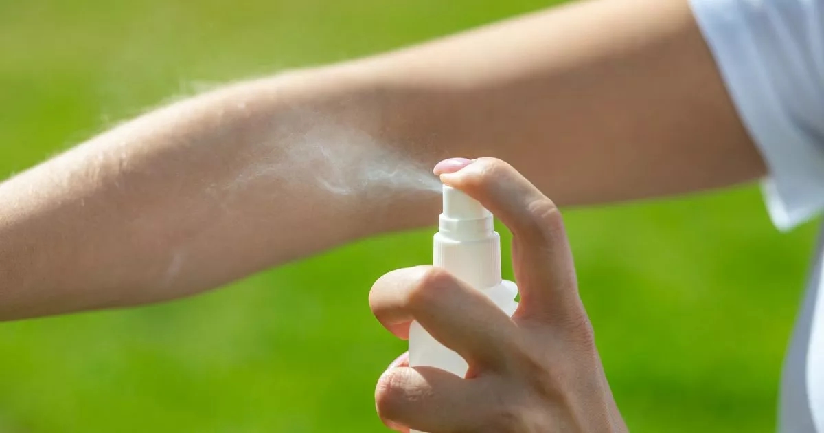 £8 hydrating body oil is the ‘best repellant' for insects and mosquito bites