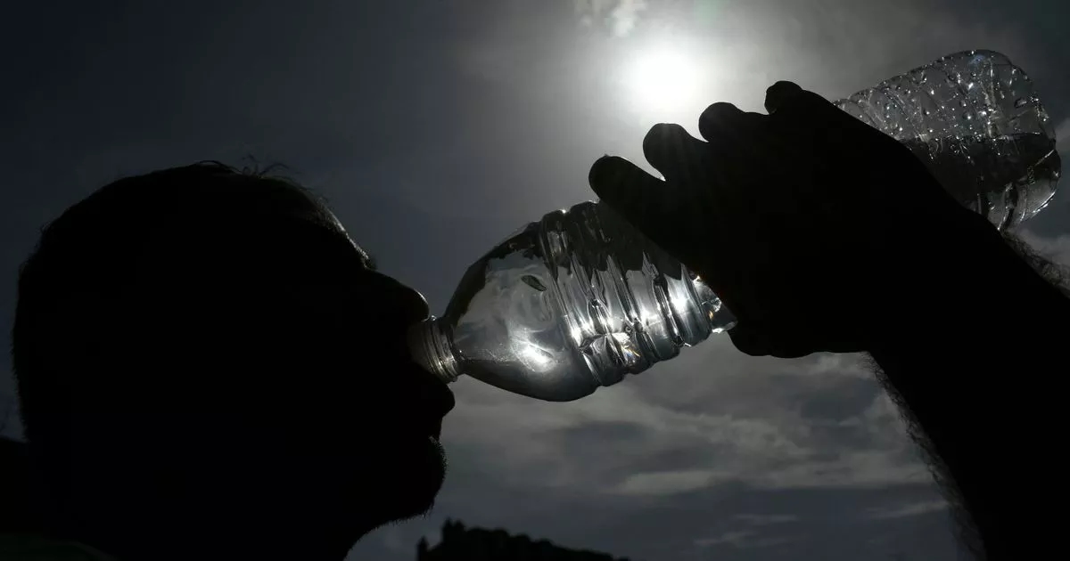 UK set for fourth intense heatwave as scorching 32C highs close out July