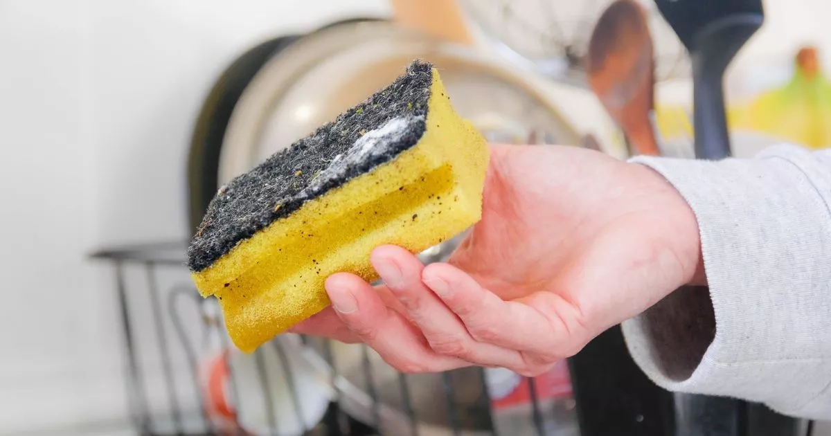 Ditch 'waste of time' cleaning method for dirty sponges — this way works best