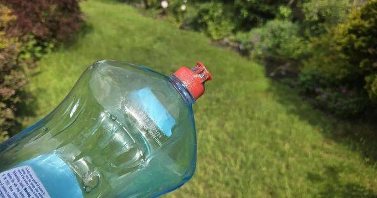 UK households urged to spray washing up liquid across their gardens