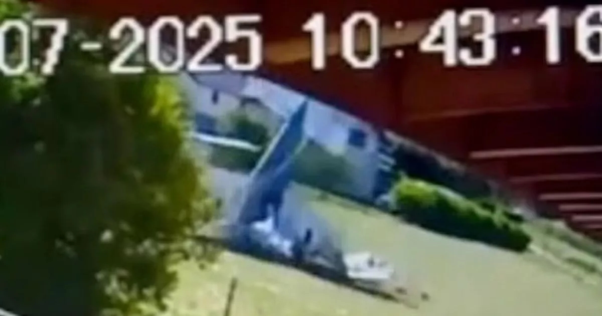 Moment tourist plane in French alps nosedives and crashes near airport