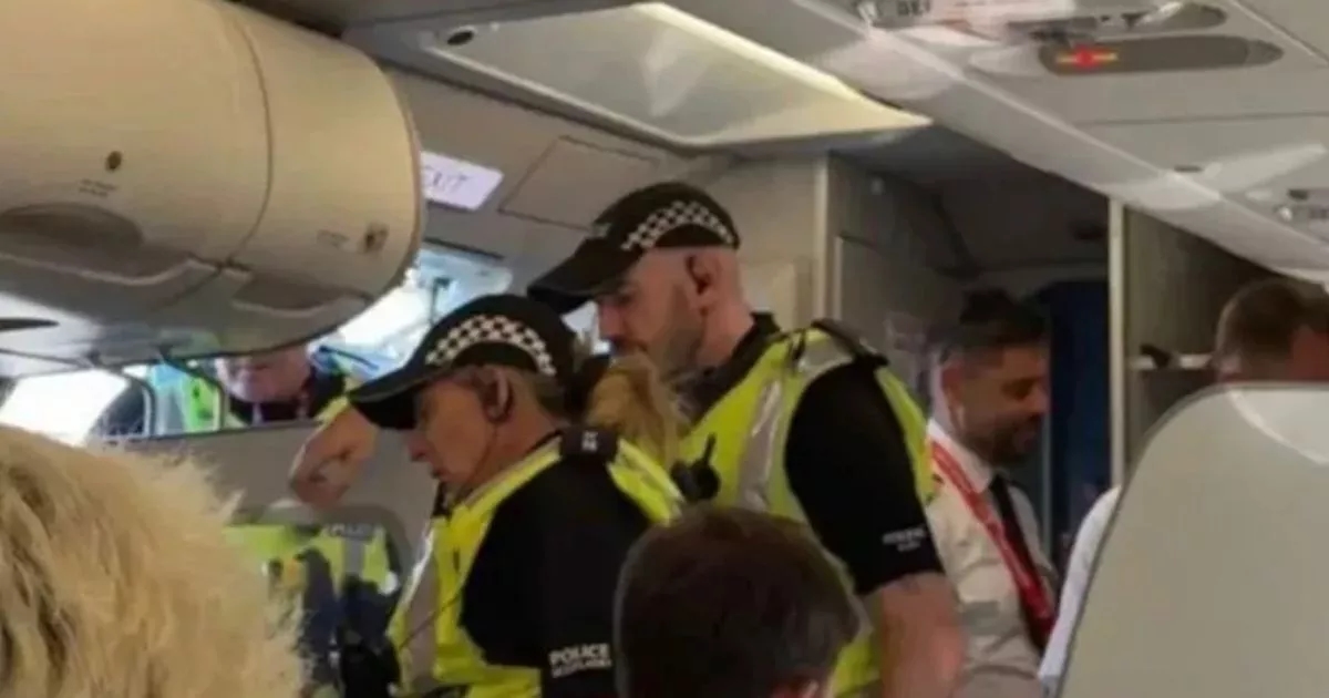 Ryanair flight descends into 'chaos' as police board plane after touching down