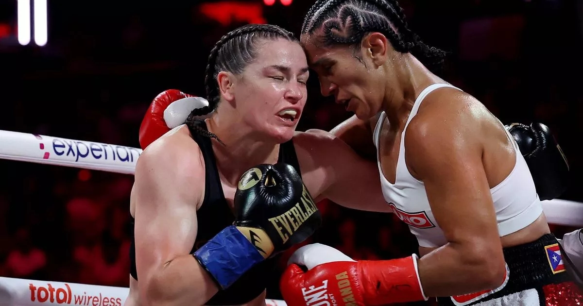 Jake Paul loses $1million bet with Mike Tyson on Katie Taylor fight