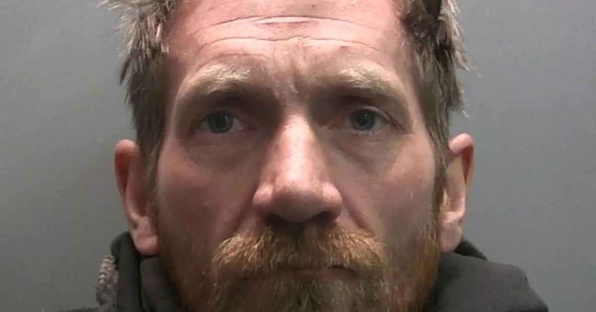 Sycamore Gap yob facing jail and being kicked out of his home